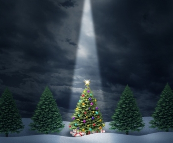 Weihnachtsbaum