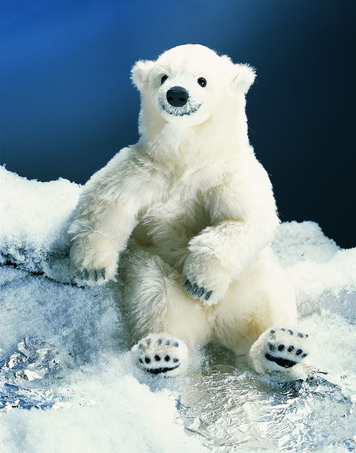 Eisbär