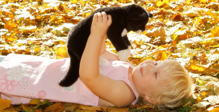 Kuscheltiere, nicht nur bei KIndern begehrt.